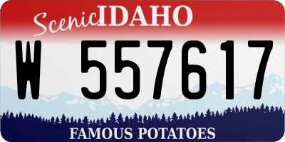 ID license plate W557617