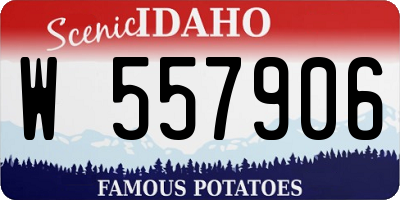 ID license plate W557906