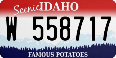 ID license plate W558717