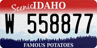 ID license plate W558877