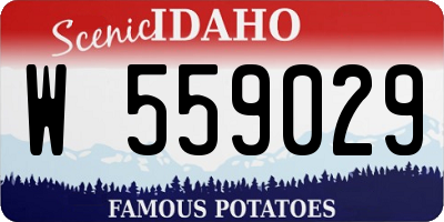 ID license plate W559029