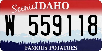 ID license plate W559118