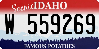ID license plate W559269