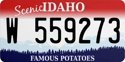 ID license plate W559273