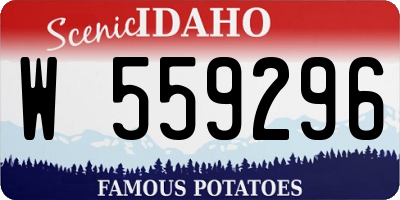 ID license plate W559296