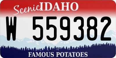 ID license plate W559382
