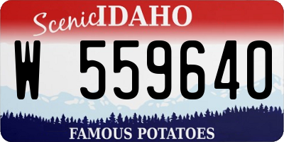 ID license plate W559640