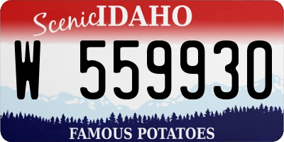 ID license plate W559930