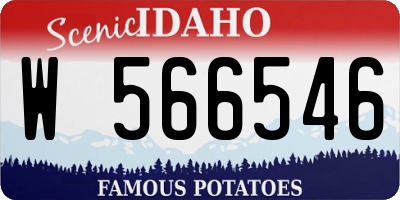 ID license plate W566546