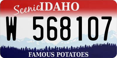 ID license plate W568107
