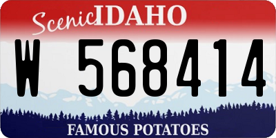 ID license plate W568414