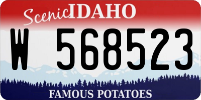 ID license plate W568523