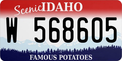 ID license plate W568605