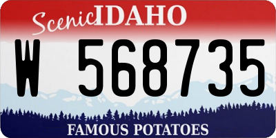 ID license plate W568735