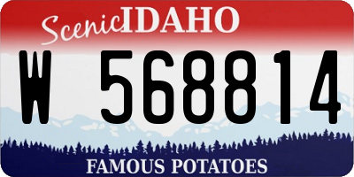 ID license plate W568814