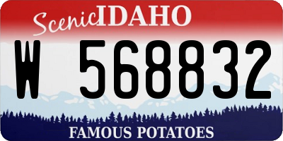 ID license plate W568832