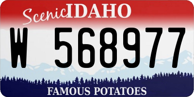 ID license plate W568977