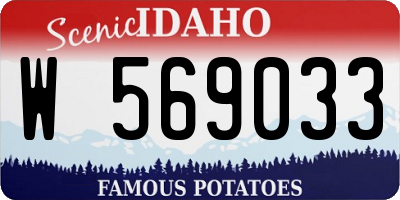 ID license plate W569033