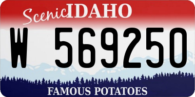 ID license plate W569250