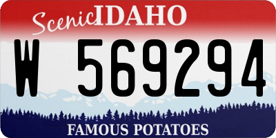 ID license plate W569294