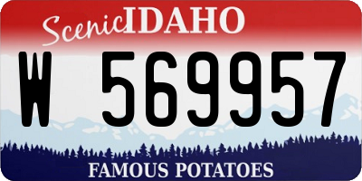 ID license plate W569957