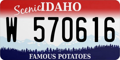 ID license plate W570616