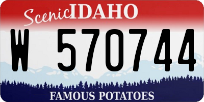 ID license plate W570744