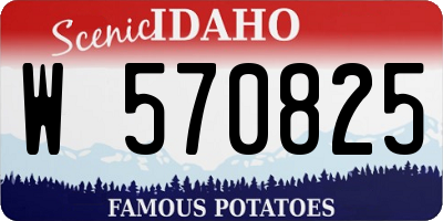 ID license plate W570825