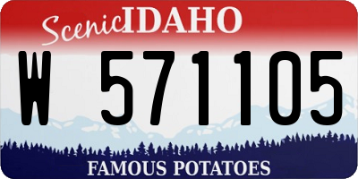 ID license plate W571105