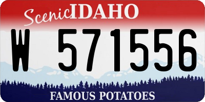 ID license plate W571556