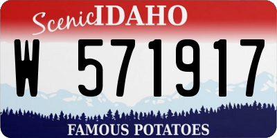 ID license plate W571917