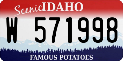 ID license plate W571998