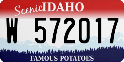 ID license plate W572017