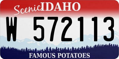 ID license plate W572113