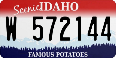 ID license plate W572144