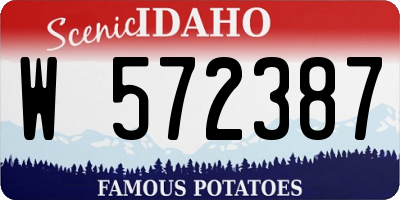 ID license plate W572387
