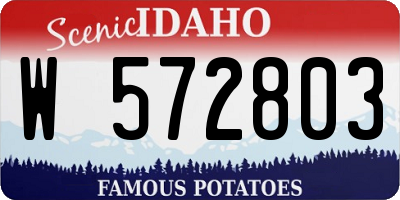 ID license plate W572803