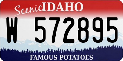 ID license plate W572895
