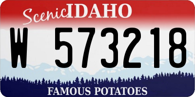 ID license plate W573218
