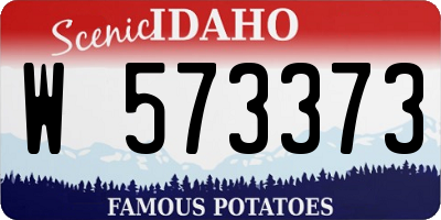 ID license plate W573373