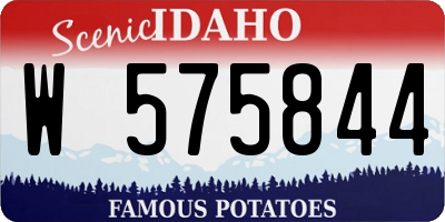 ID license plate W575844