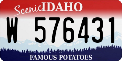 ID license plate W576431