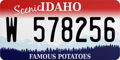 ID license plate W578256