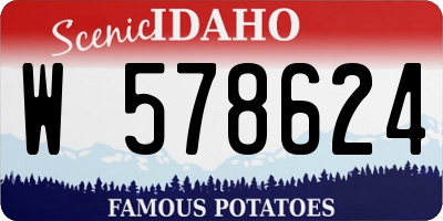 ID license plate W578624
