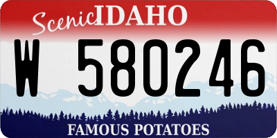 ID license plate W580246