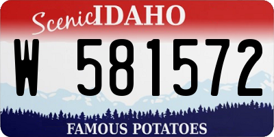 ID license plate W581572