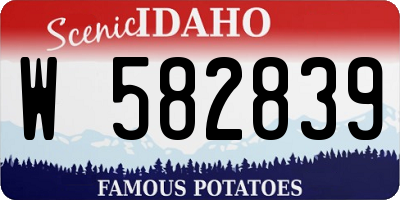 ID license plate W582839