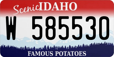 ID license plate W585530