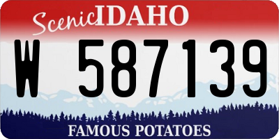 ID license plate W587139