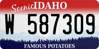 ID license plate W587309